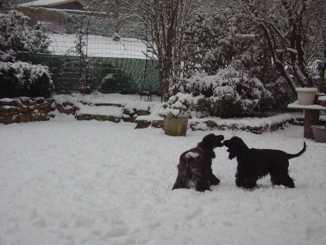 JEUX d' HIVER ...